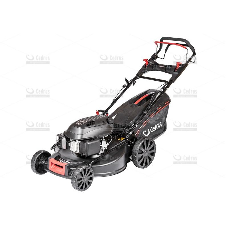 KOSIARKA CEDRUS 56cm HONDA GCV200 CEDKS56S-H