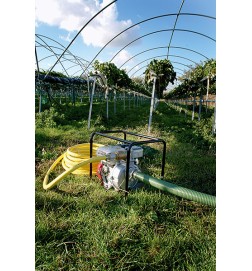 POMPA WODNA HONDA WH20XTEFX