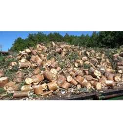 RĘBAK R120N6 Z TAŚMOCIĄGIEM 3M